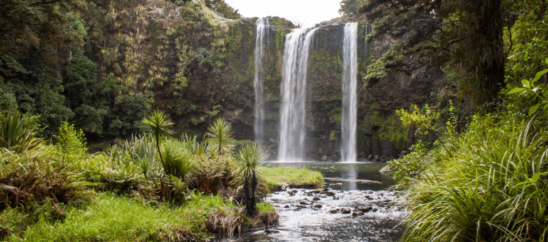 New technologies helping clean up NZ’s waterways